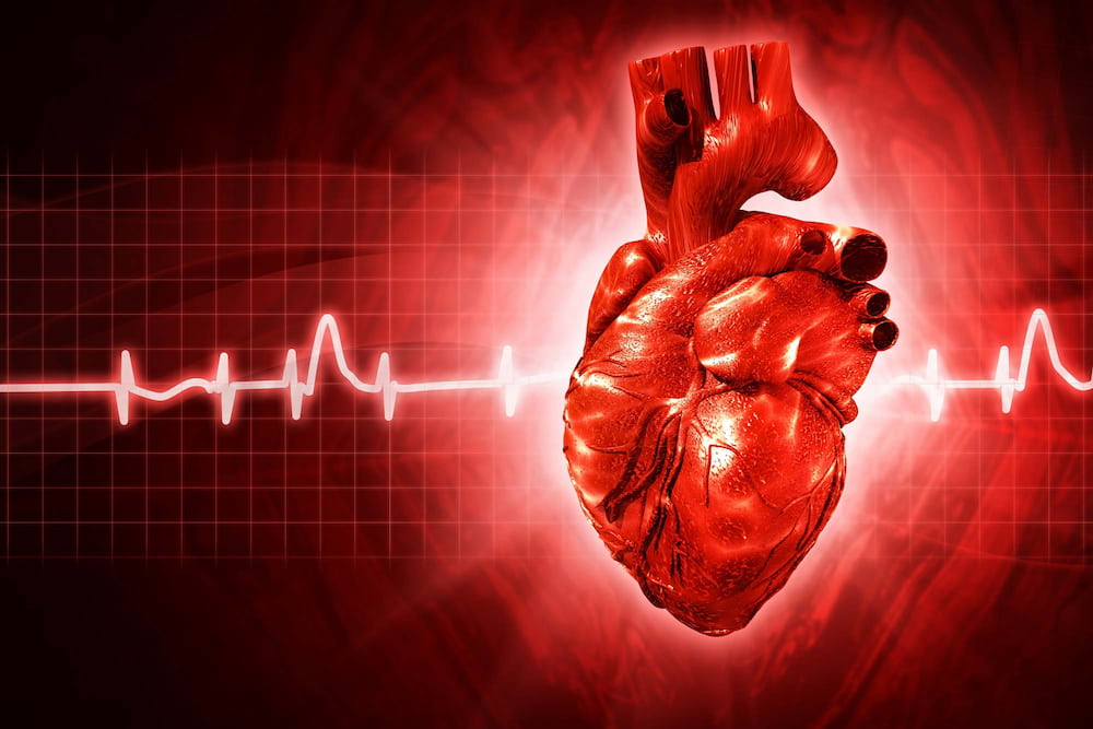túl sok információ a szív egészségéről
