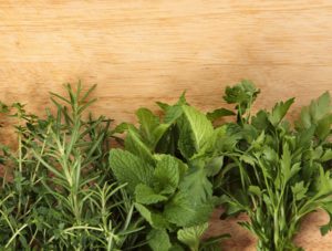 Spárga, gyermekláncfű, koriander - természetes vízható gyógynövények és zöldségek listája