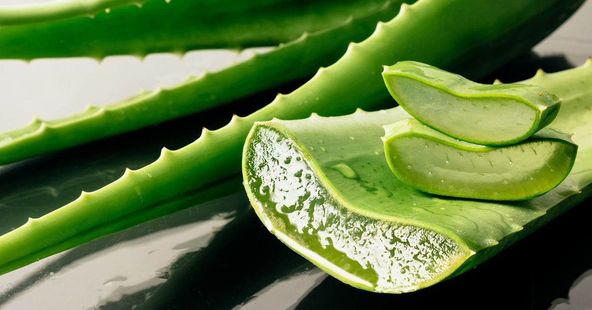 Aloe-vera gél belsőleg - biztonsággal ehető?