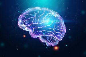 Az agy és idegrendszer védelme alfa-liponsav (ALA) segítségével