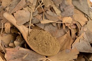 Ginkgo biloba levél por